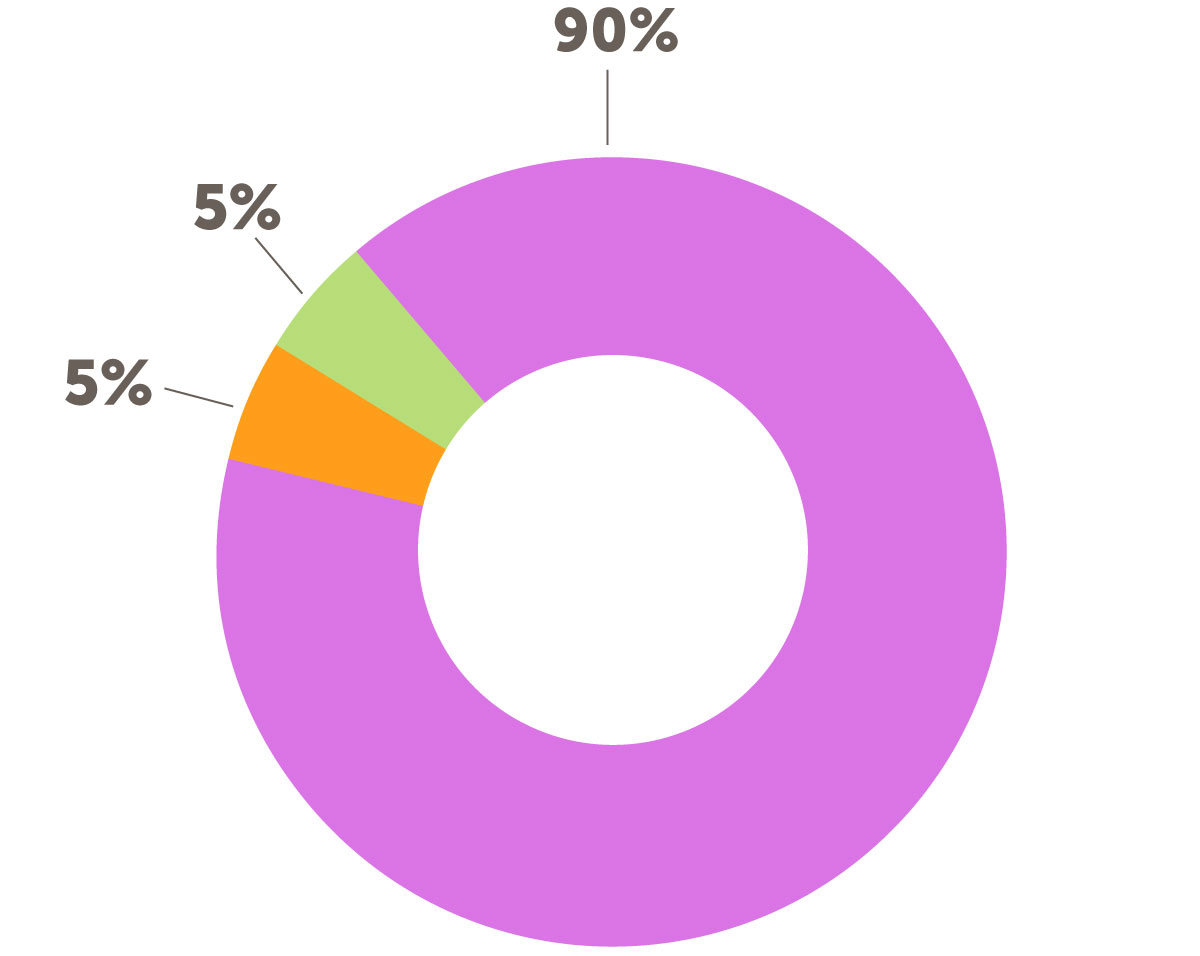 Pie chart expenses