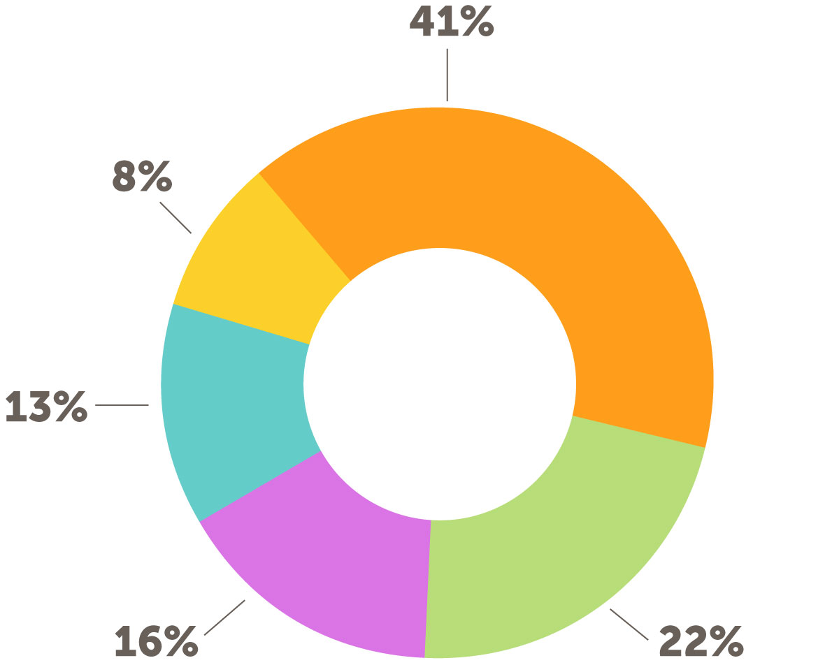 Program expenses by activity