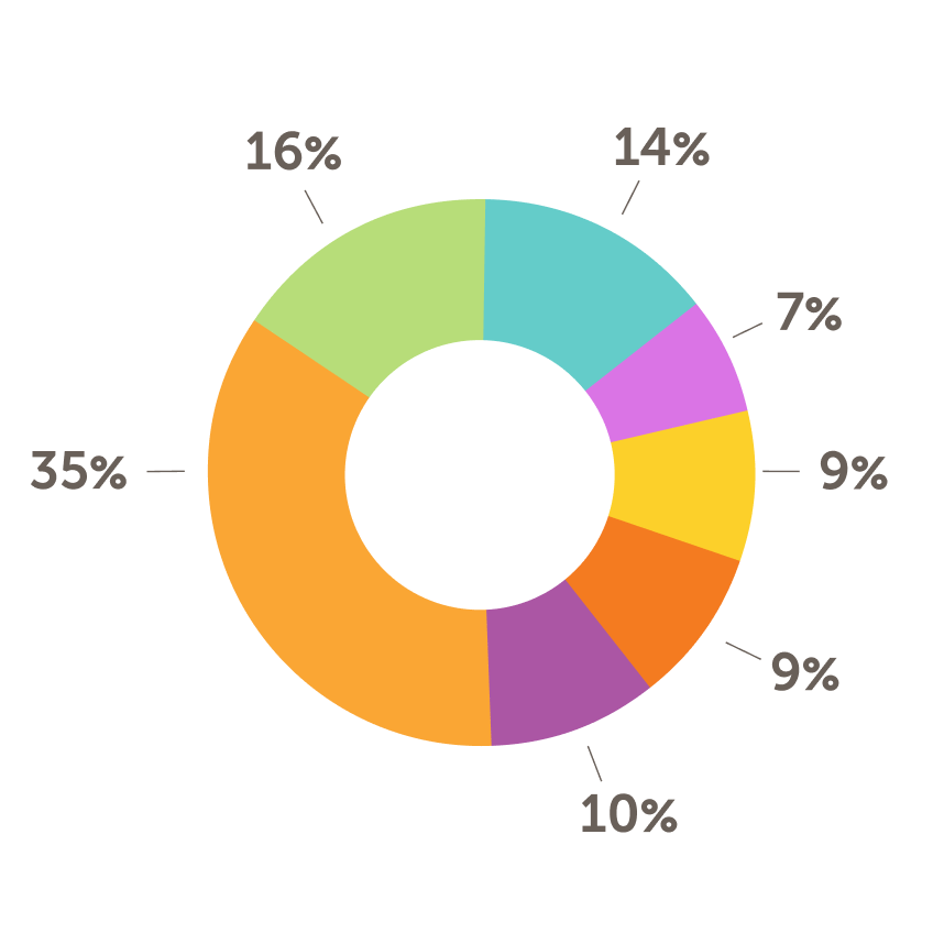 Program expenses by activity