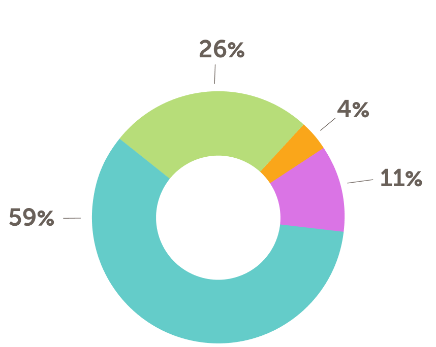 Pie chart total support revenue