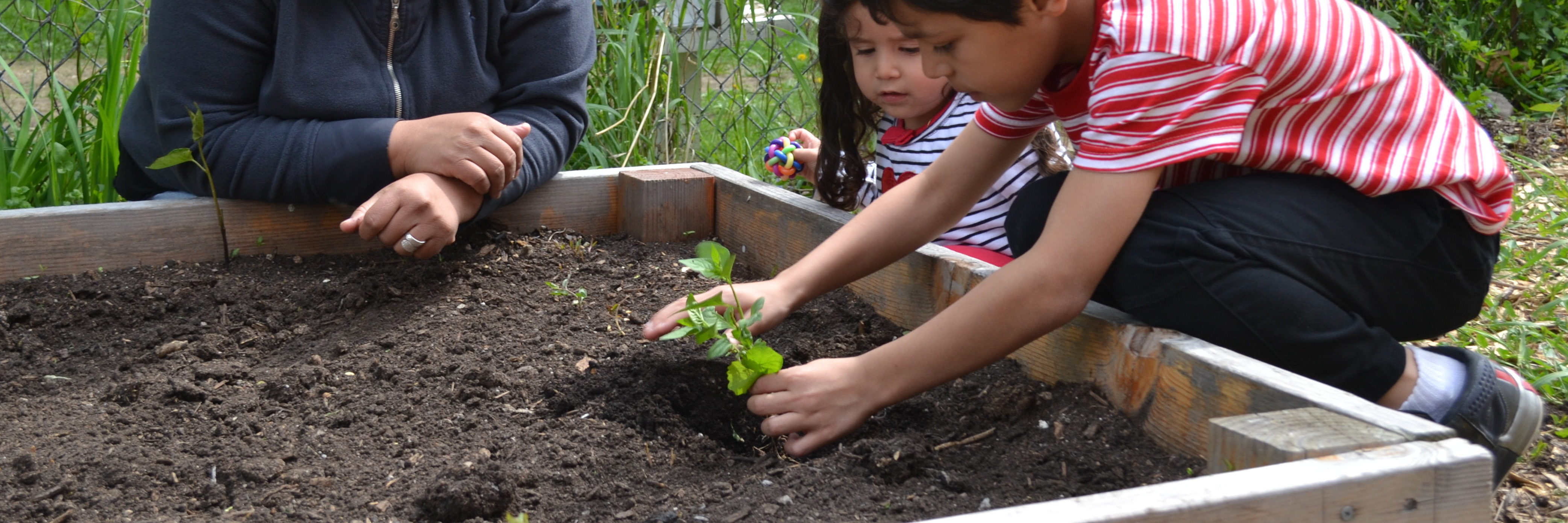 Kids planting veggies