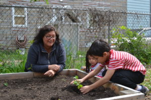 Longtime ally Rosa Perea helps her son and niece plant vegetables in a Chicago community garden. CREDIT: Staff