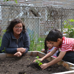 Longtime ally Rosa Perea helps her son and niece plant vegetables in a Chicago community garden. CREDIT: Staff