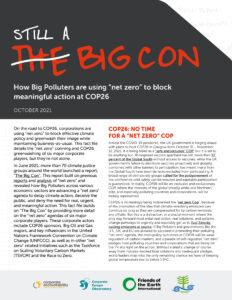 Cover of the "Still A Big Con" fact file
